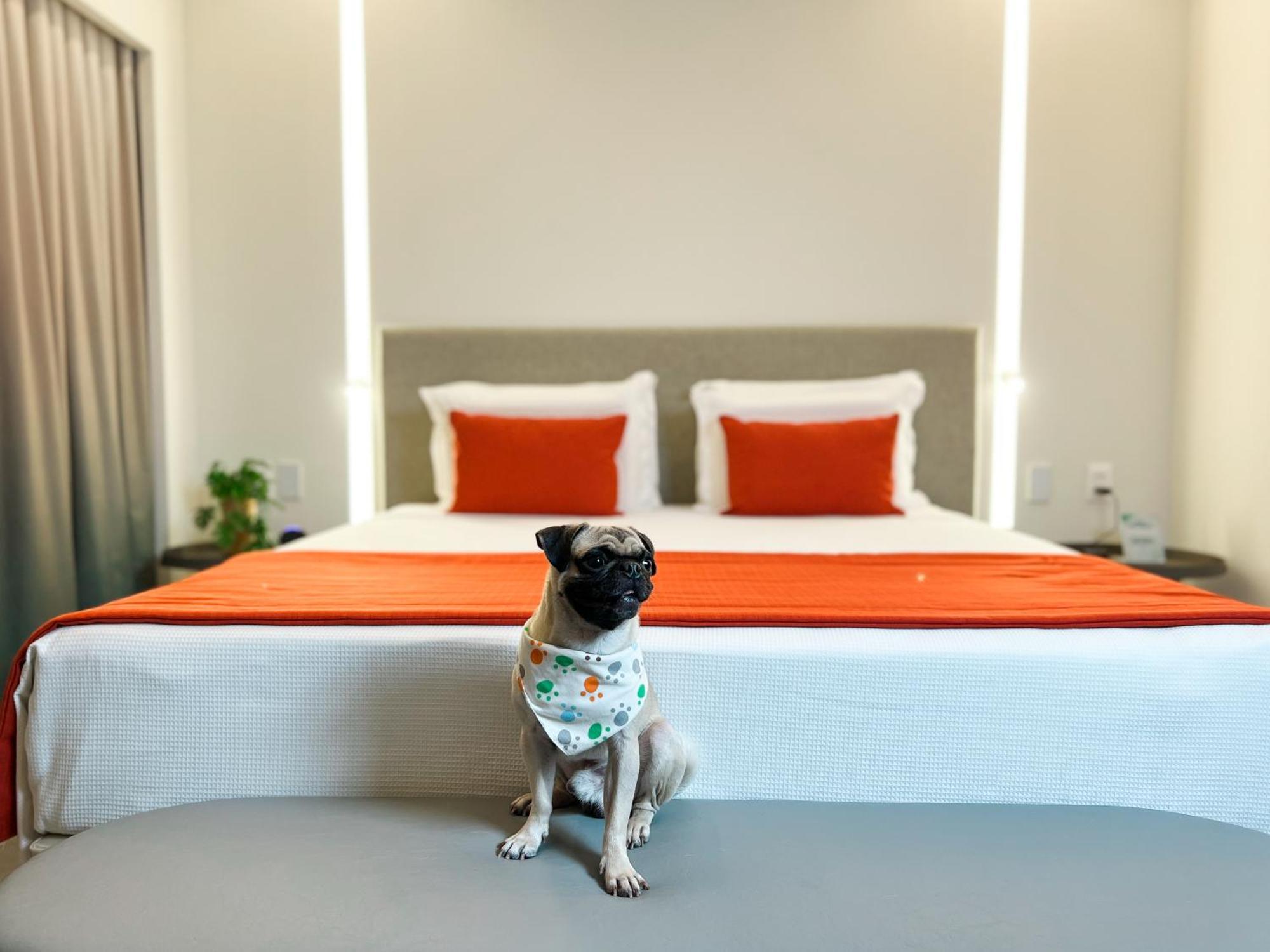 Japaratinga Lounge Resort Ngoại thất bức ảnh